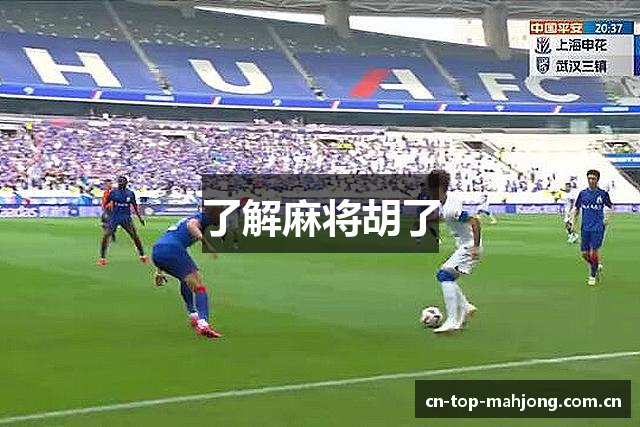 了解麻将胡了